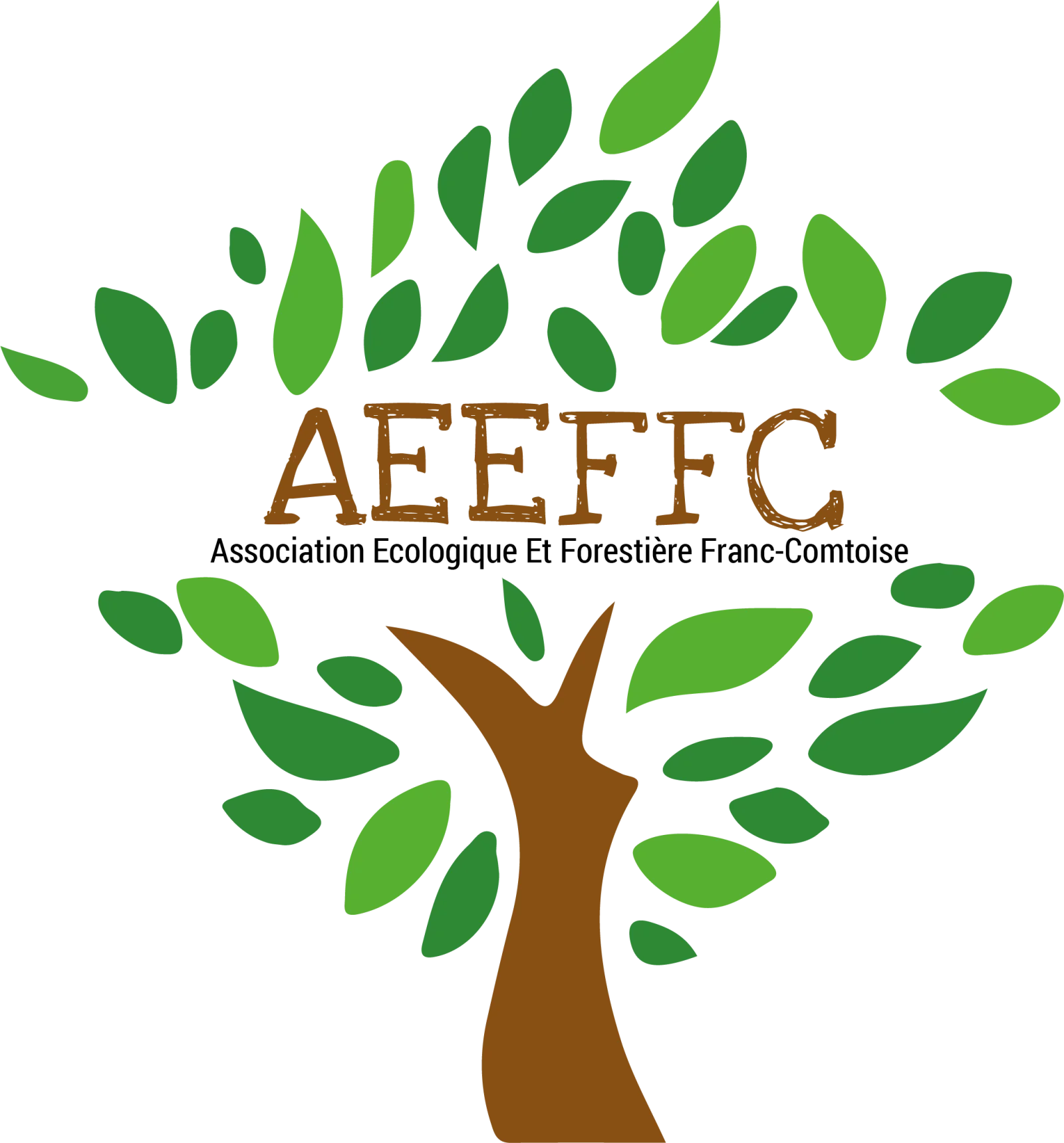 AEEFFC, client de 10Torsions